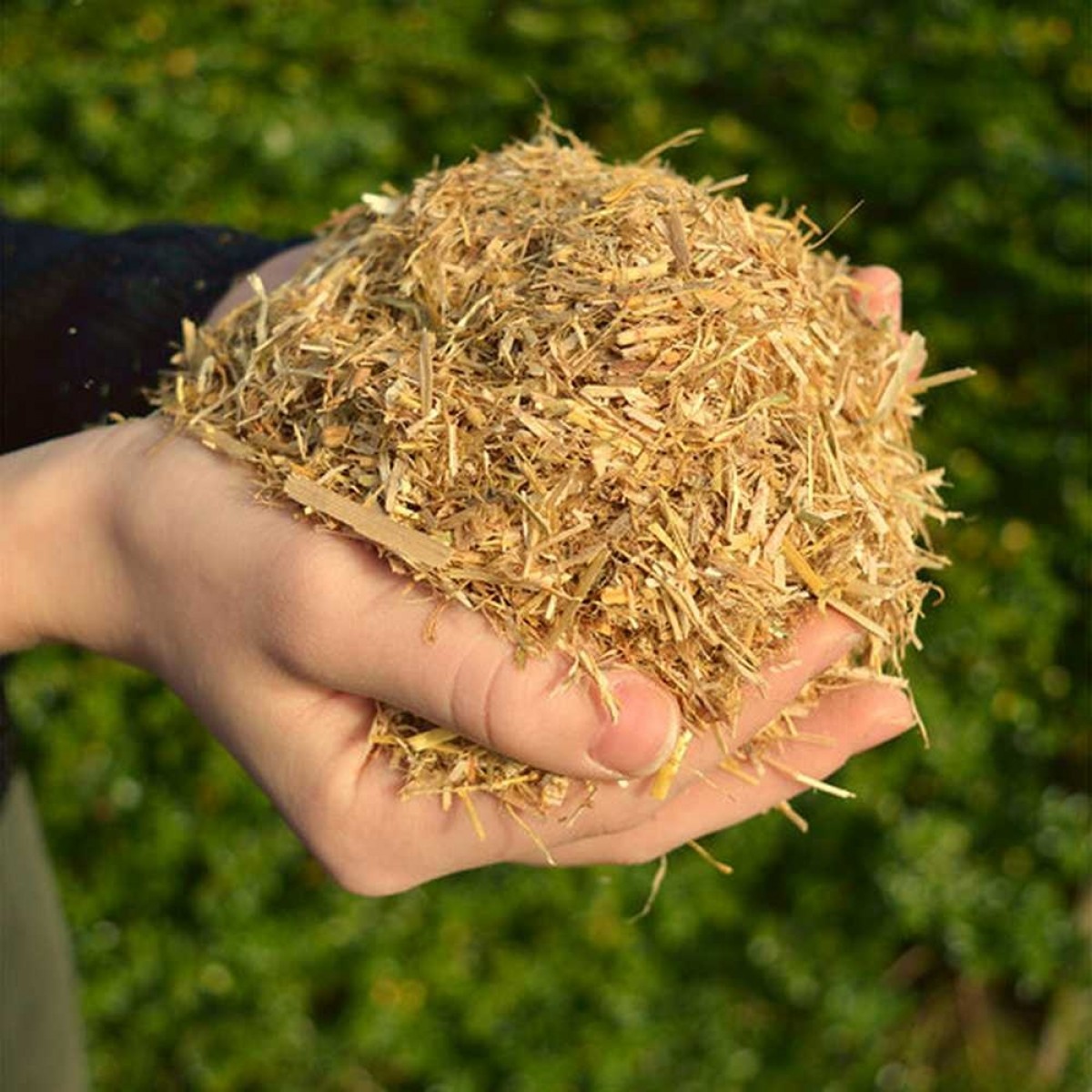 vraag naar Vermoorden calorie EXIE Xi-Fibres Strovlokken zak 20 kg kopen | Bouwkampioen