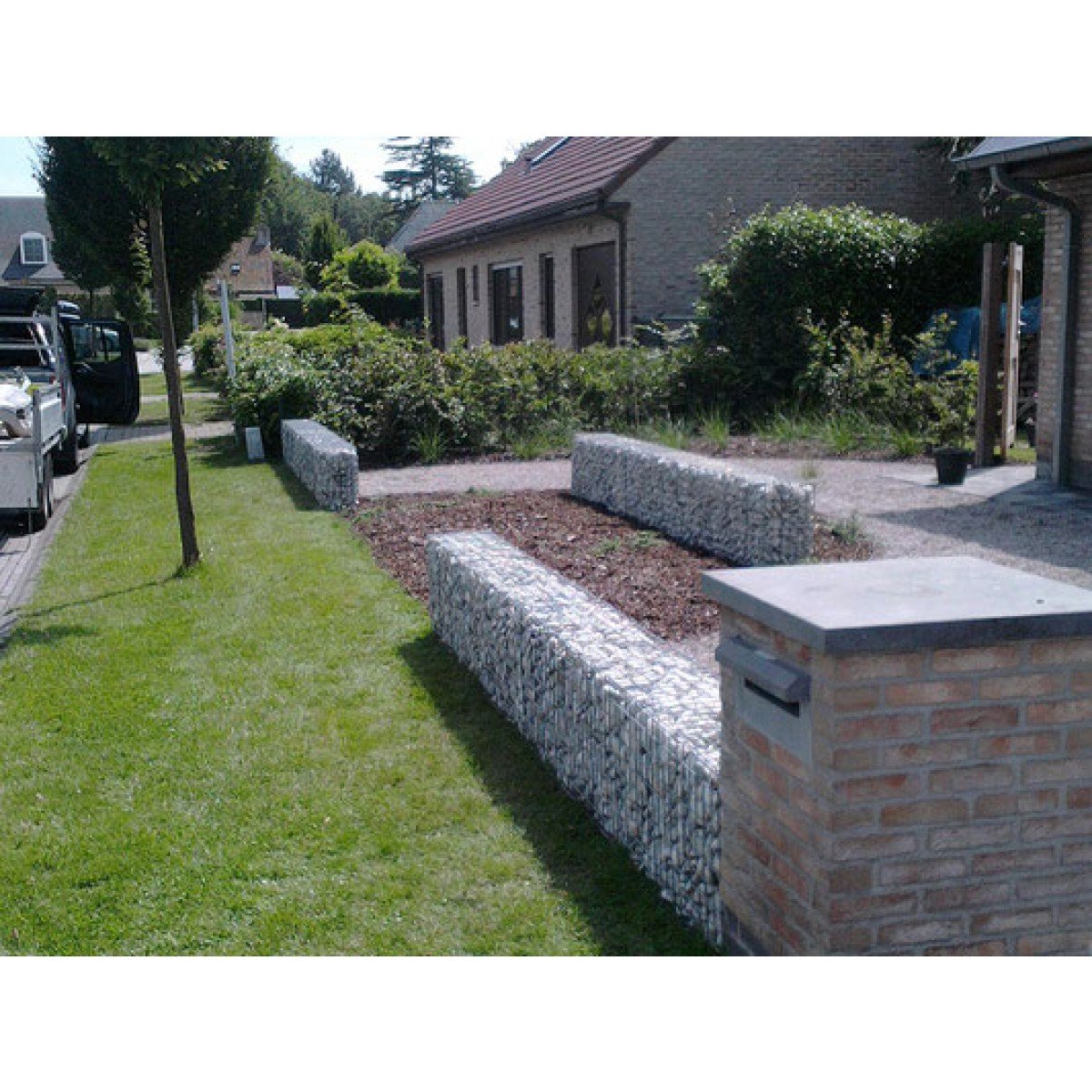hond Mantsjoerije Druif 1-2-3 Steenkorf 300x900x200mm online kopen | Bouwkampioen