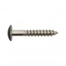 Gevelschroef RAL 7016 antracietgrijs inox