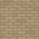 Rijswaard beige hv