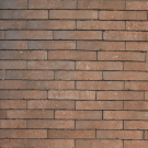 evolution Bronze olivier bricks