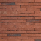 evolution Ruby olivier bricks