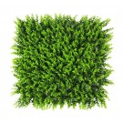 Spring Buxus kunsthaag