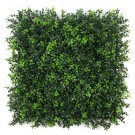 Summer Buxus kunsthaag