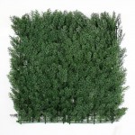 Jivana Arborvitae Kunsthaag per m²