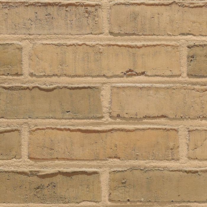 wienerberger gevelsteen terca aquarel sable geel