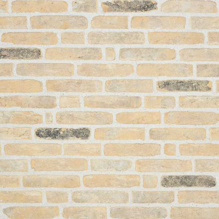 Original Brugse Klinker olivier bricks