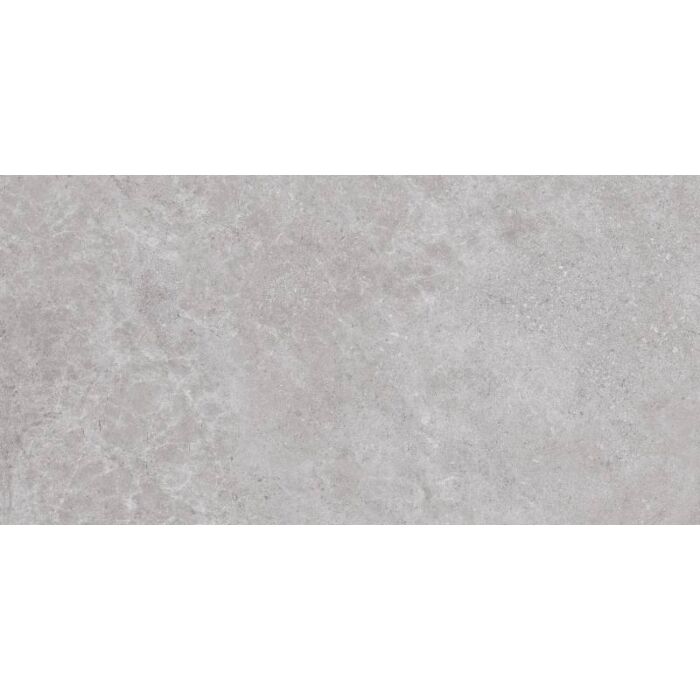 Colorker Liberty Grey 120 x 60 cm per m² tegels