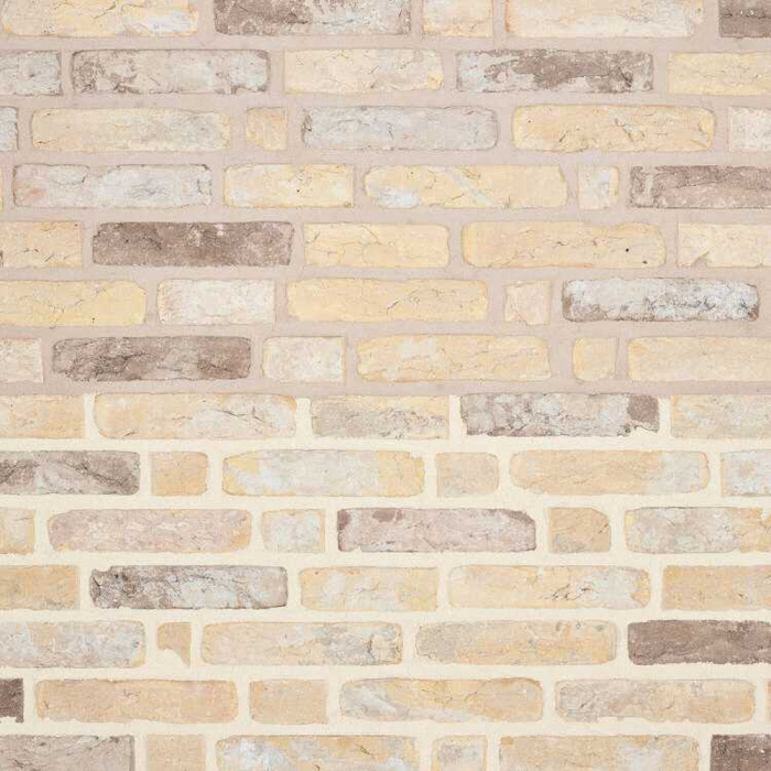 Original Dudzeelse Klinker olivier bricks