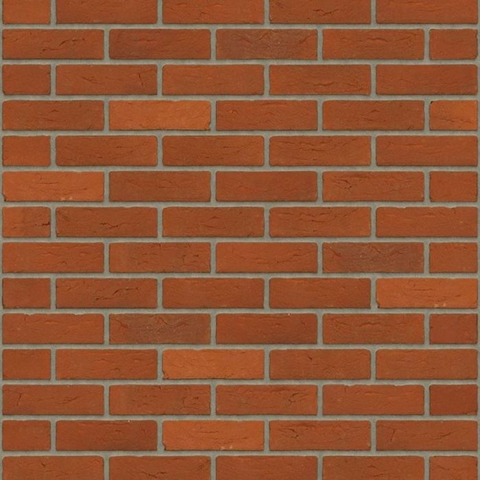 Rijswaard engels bont hv ef