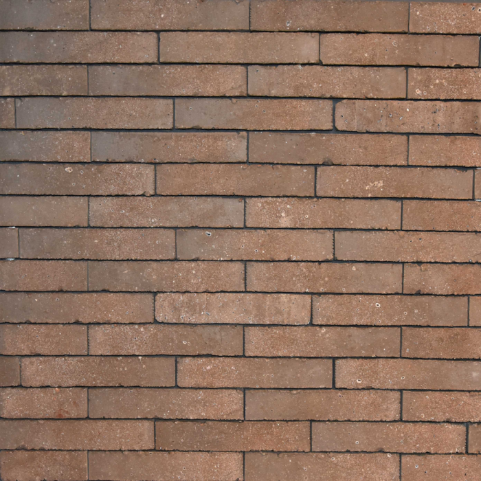 evolution Bronze olivier bricks