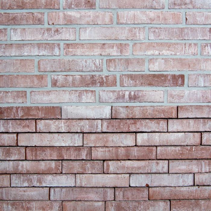 evolution Rubino olivier bricks