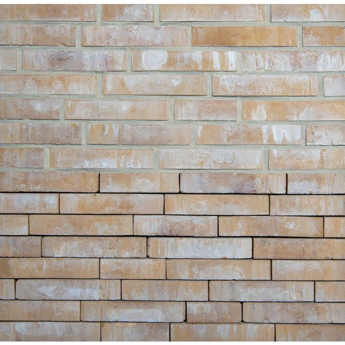 evolution sabbia olivier bricks