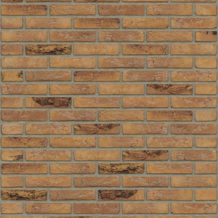 Rijswaard gamers bont hv