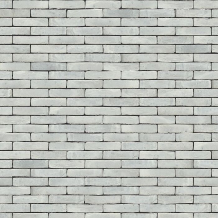 nelissen koloro topo