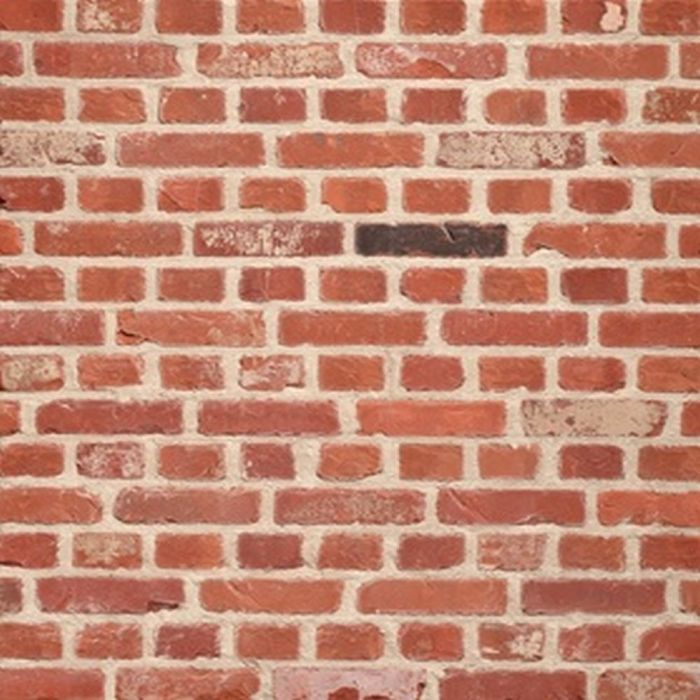 Terca Molenlandse Rijnvorm