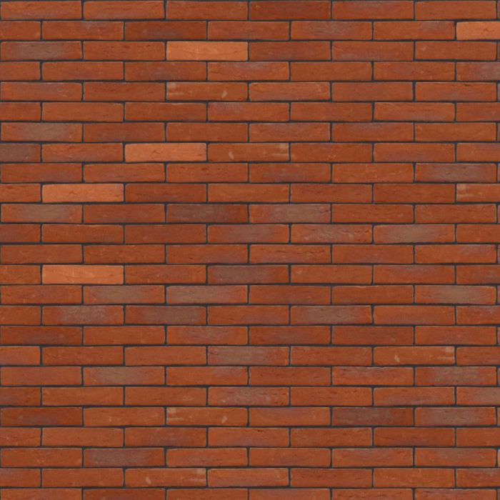 Nelissen Caprice Montana