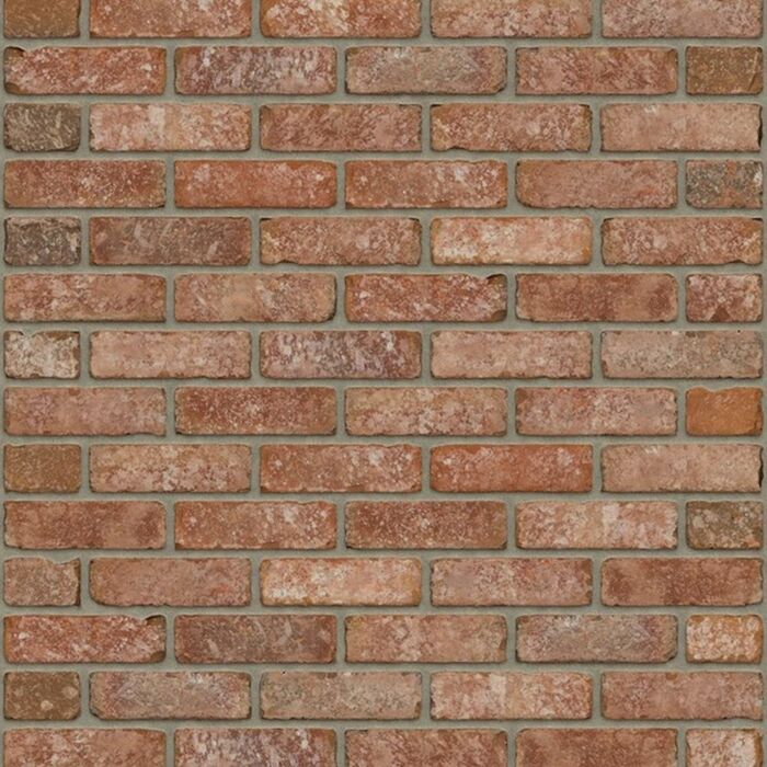 Rijswaard Nebraska VB