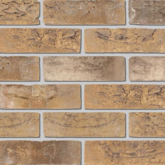 nelissen caprice masaya