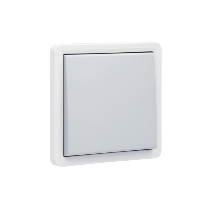 NIKO Spatwaterdichte Wisselschakelaar 10A 250V