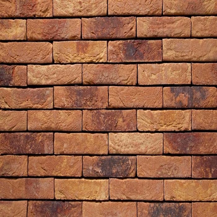 vandersanden primula