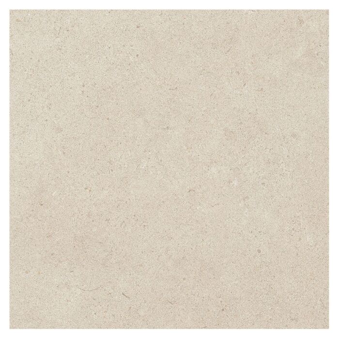 coeck sedimento beige