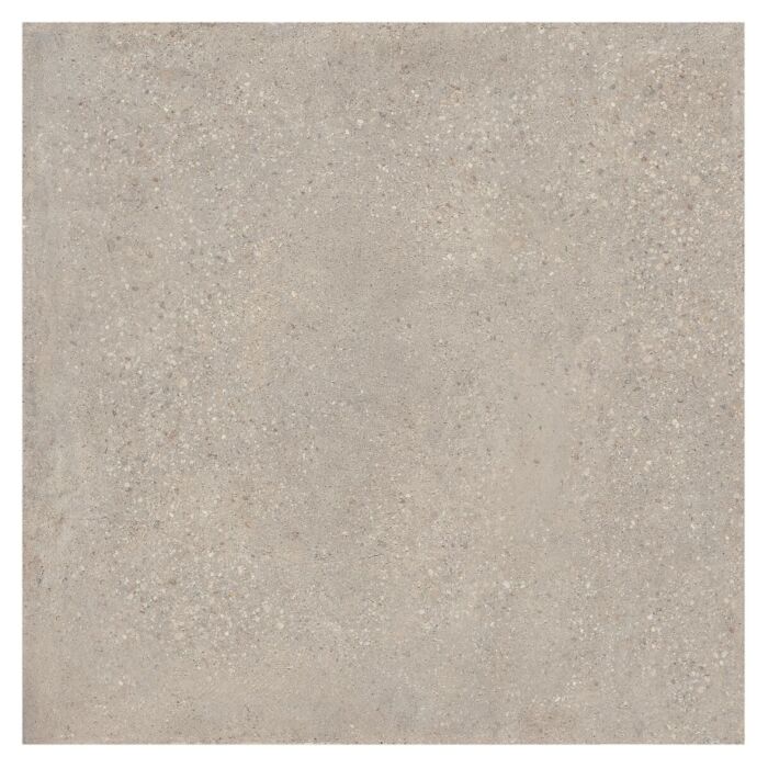 coeck sedimento grey