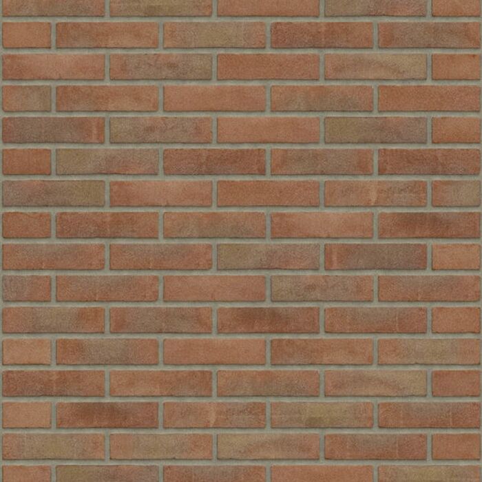 Rijswaard Roodpaars VB Reno