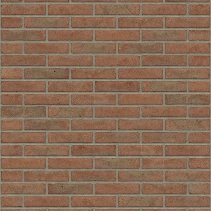 Rijswaard Roodpaars vb