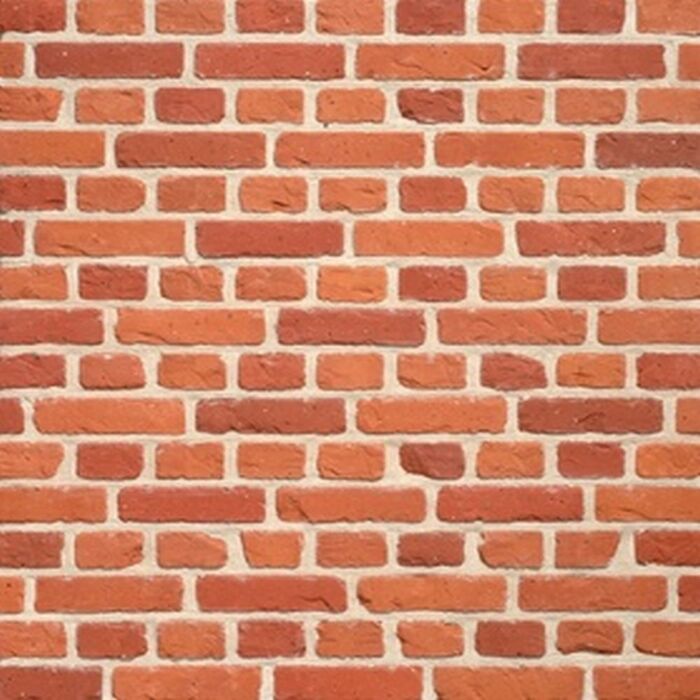 Terca Rupelse Rijnvorm