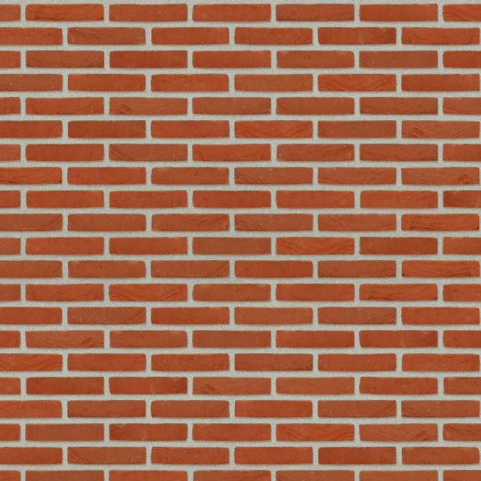 nelissen spaans rood