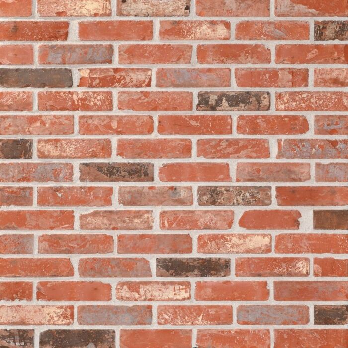 ploegsteert Tamburo t17134