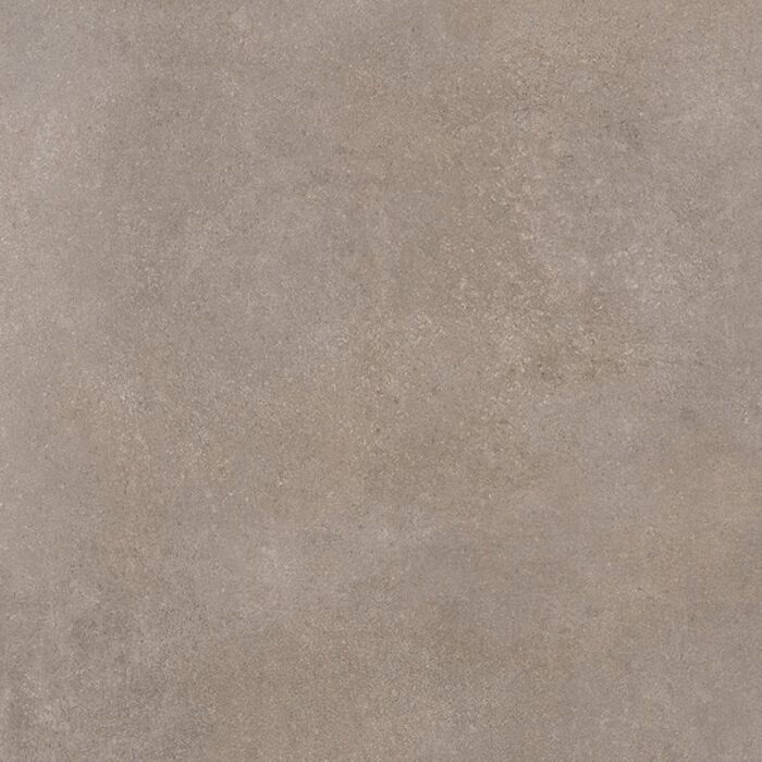 Coeck Modena Taupe