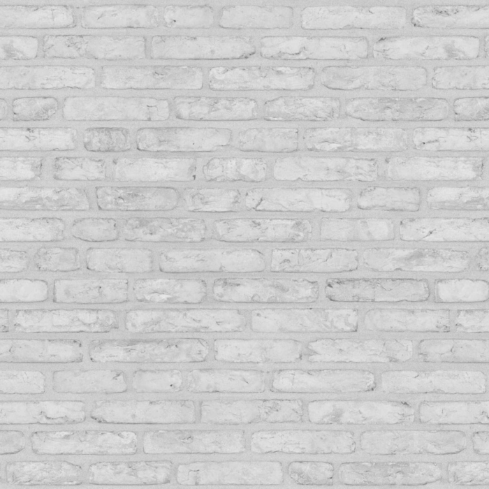 Original Vlissingse Klinker Witgrijs olivier bricks