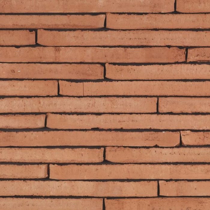 wienerberger gevelsteen terca Wasserstrich Special Orientrood 