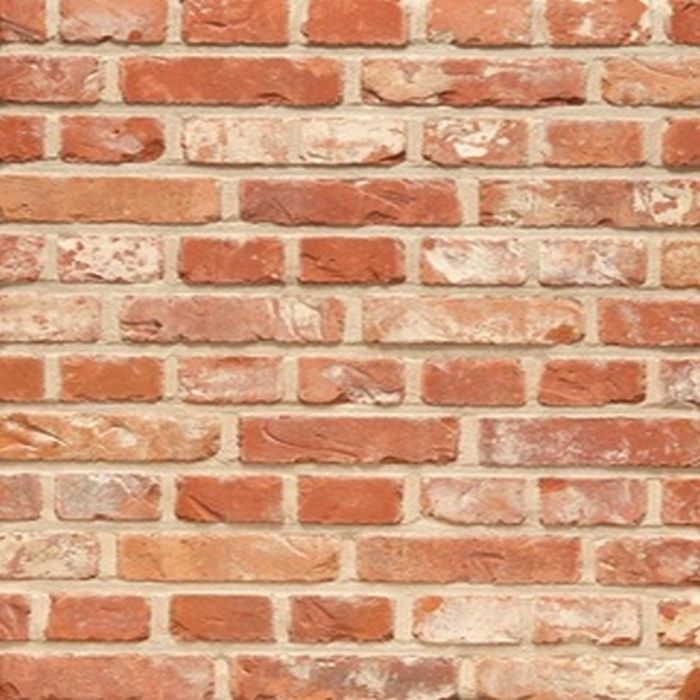 Terca Zevendonkse Rijnvorm