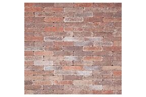 Betonklinker Damme Bont Getrommeld 21 x 6,8 x 6 cm