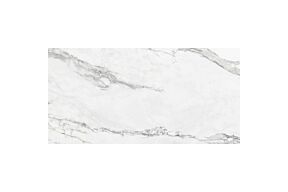Colorker Insignia 120 x 60 cm per m² tegels
