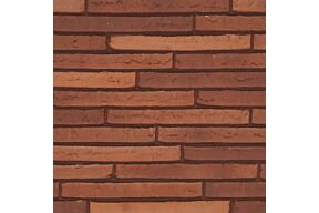 wienerberger gevelsteen terca Wasserstrich Special Atica Rood