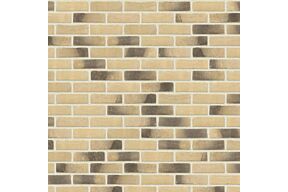 Nelissen Caprice Flores