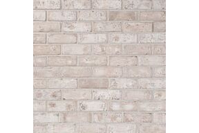 ploegsteert Tamburo t17038