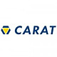Carat logo