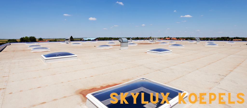 Skylux dômes de lumière : La lumière du jour est notre métier